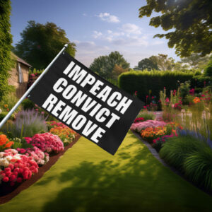 Impeach Convict Remove 2026 House Flag