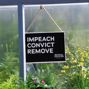 Major Jason Watson Impeach Convict Remove Yard Sign