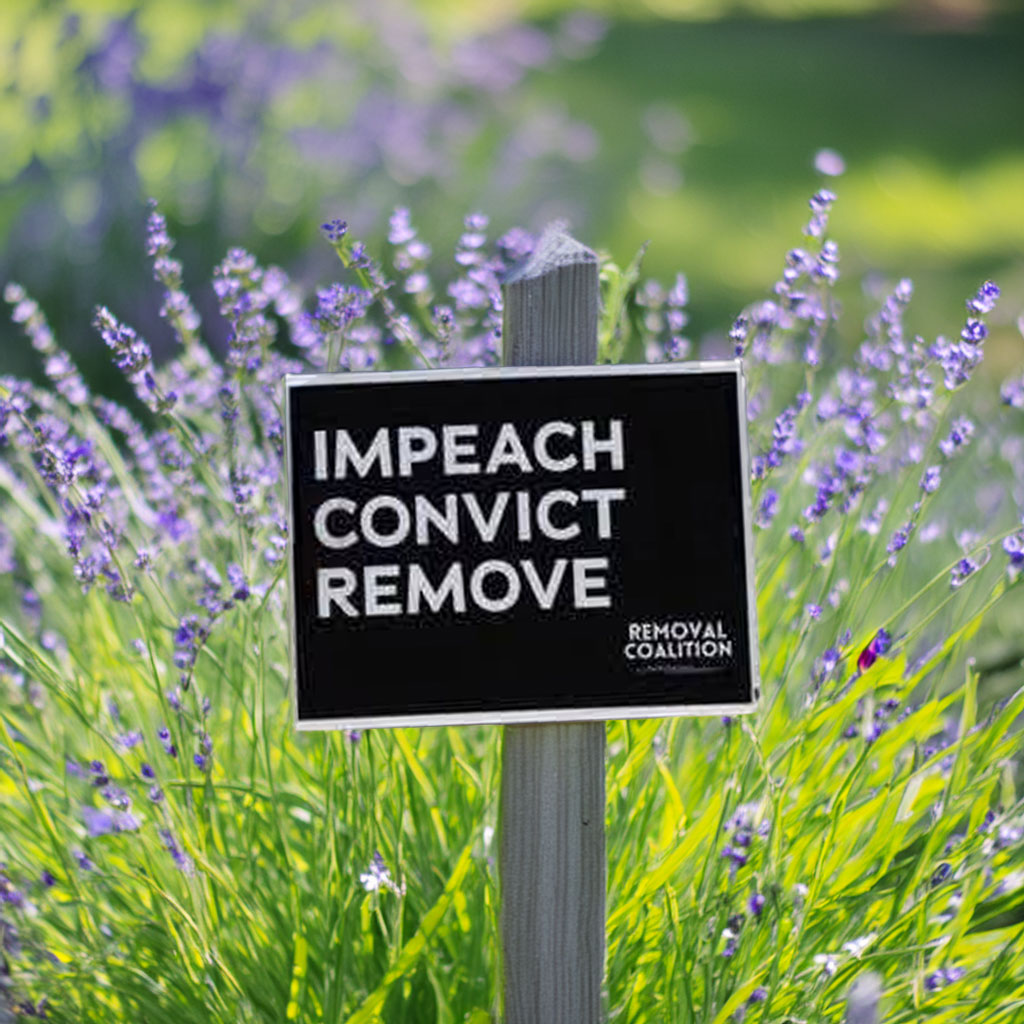 Major Jason Watson Impeach Convict Remove Yard Sign